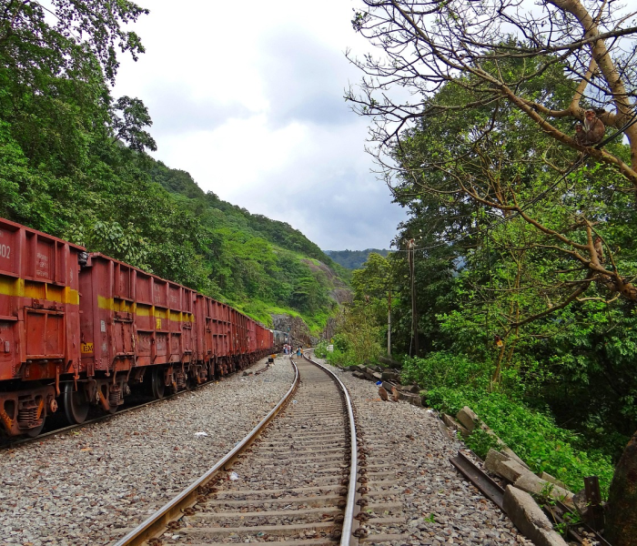 成都疫情怎么不更新了/成都疫情会不会越来越严重 成都疫情怎么不更新了/成都疫情会不会越来越严重