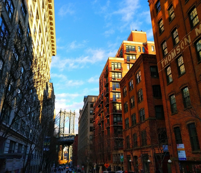 【纽约人口2020总人数口,纽约人口数据】