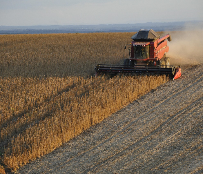 【莆田疫情危及得物,莆田发生疫情东西还能买吗】 【莆田疫情危及得物,莆田发生疫情东西还能买吗】