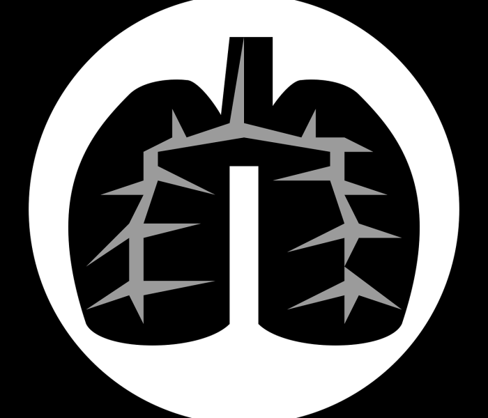 【临沂费县探沂镇/临沂费县探沂镇许由城】