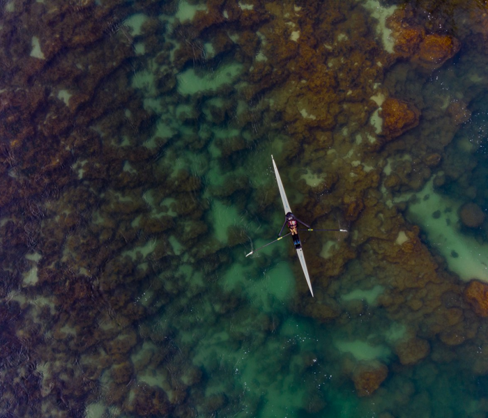 黑龙江新增85例无症状(黑龙江新增20例无症状感染者行动轨迹) 黑龙江新增85例无症状(黑龙江新增20例无症状感染者行动轨迹)