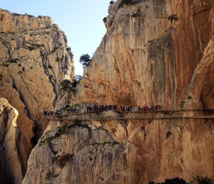 秒懂教程“微信牛牛房卡在哪里买的”轻松获取房卡全渠道