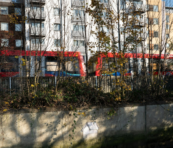 洛阳是否为中高风险区:洛阳是不是低风险区
