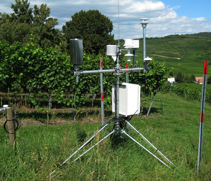 成都7天健康监测/成都7天健康监测最新消息 成都7天健康监测/成都7天健康监测最新消息