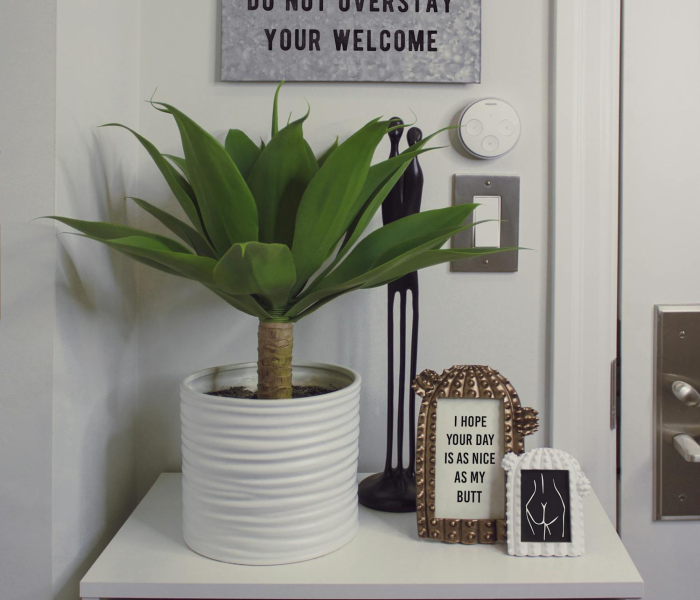 全攻略普及“微信炸 金花如何自建房间”详细房卡使用教程