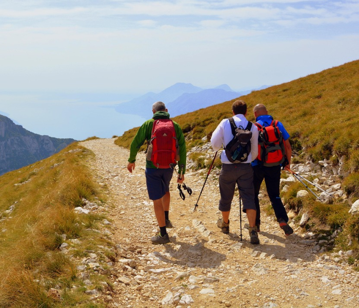 沈阳疫情最新动态消息（沈阳疫情最新数据消息行程）
