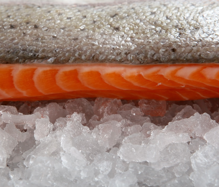 中国发现猪流感病毒是真的吗:中国2020年新型猪流感症状