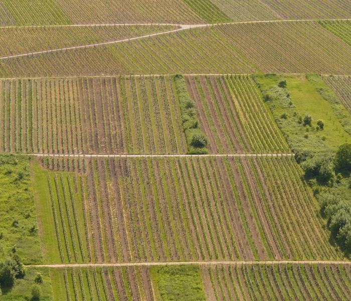 石家庄限行2021年8月/石家庄2021年的限行 石家庄限行2021年8月/石家庄2021年的限行