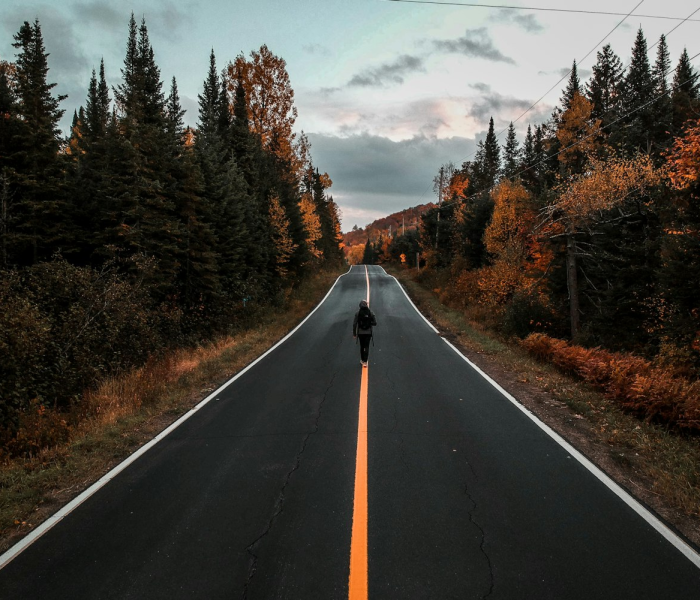 元旦高速免费?:元旦高速免费吗 元旦高速免费?:元旦高速免费吗