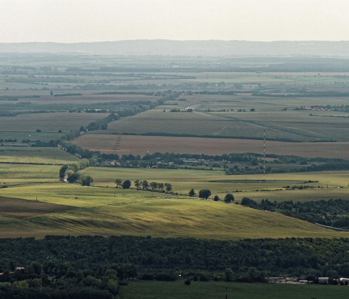 平原县疫情小组电话/平原县疫情小组电话是多少 平原县疫情小组电话/平原县疫情小组电话是多少