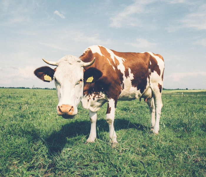 31省新增本土20例m卜（31省新增109例 本土96例）