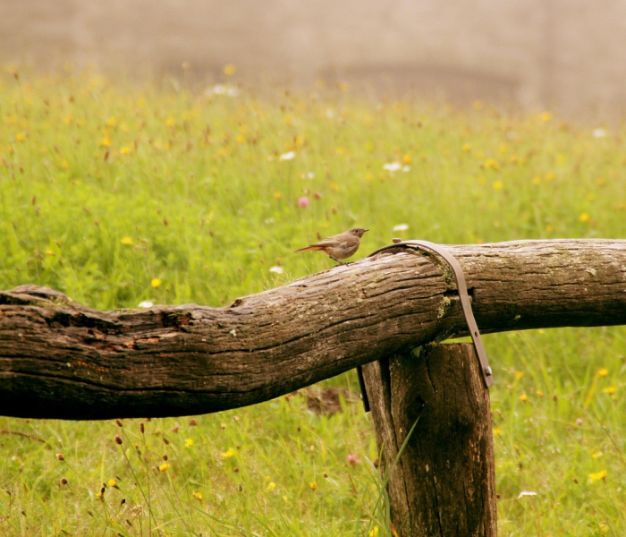 【广州疫情变异毒株有多强/广州病毒变异株叫什么名字】 【广州疫情变异毒株有多强/广州病毒变异株叫什么名字】