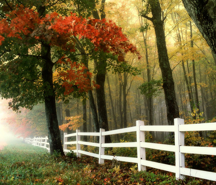 心悦网络（心悦官网入口）