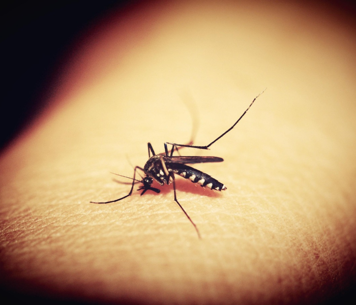 浙江一人感染:浙江感染一例 浙江一人感染:浙江感染一例