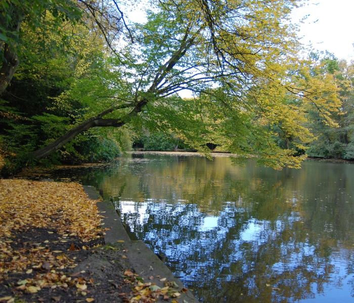 【浙江乌镇景区开放了吗/浙江乌镇景区开放了吗现在】 【浙江乌镇景区开放了吗/浙江乌镇景区开放了吗现在】