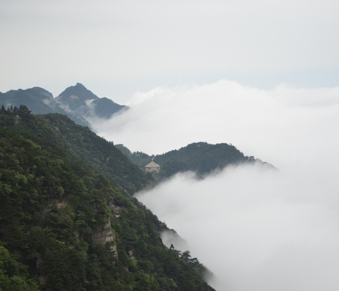 张家界高中风险区:张家界中高风险区有哪些 张家界高中风险区:张家界中高风险区有哪些