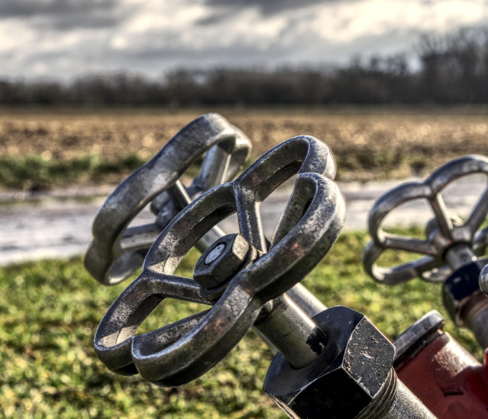 吉林疫情最新情况新闻（吉林疫情最新动态）