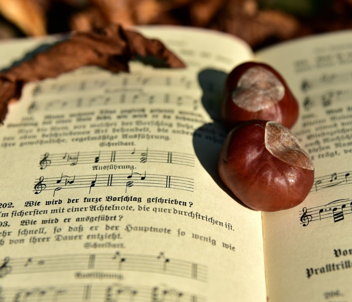 【何为三天两检,三天两检以什么时间为准】 【何为三天两检,三天两检以什么时间为准】