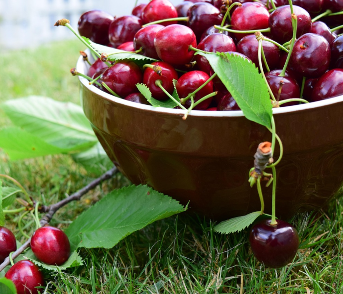 【辽宁鞍山特产,辽宁鞍山特产水果】