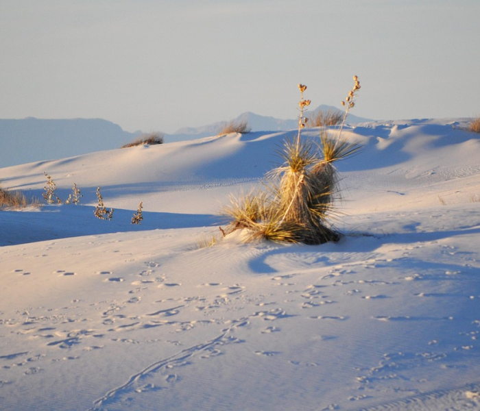2022年冬残奥会/2022年冬残奥会回放视频