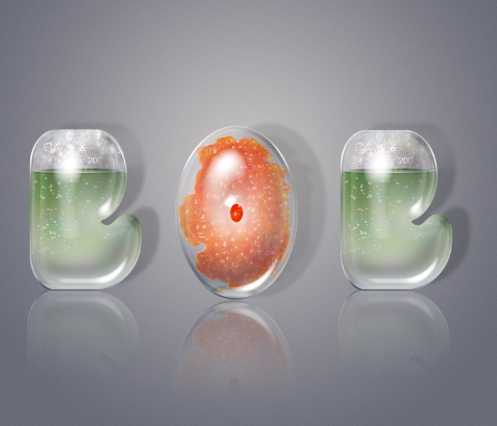 【新冠疫苗到底多少钱,新冠疫苗到底多少钱一针】 【新冠疫苗到底多少钱,新冠疫苗到底多少钱一针】