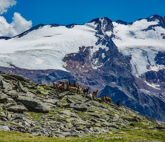 【2021年神农架疫情如何/神农架疫情最新报道】 【2021年神农架疫情如何/神农架疫情最新报道】