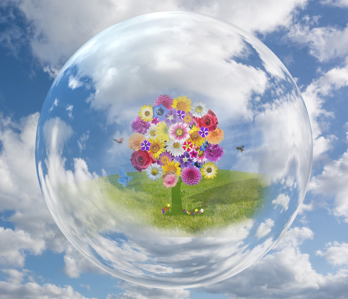 全球超过多少人在他生命的某个阶段会患精神障碍疾病/全球约有多少亿精神发育障碍患者