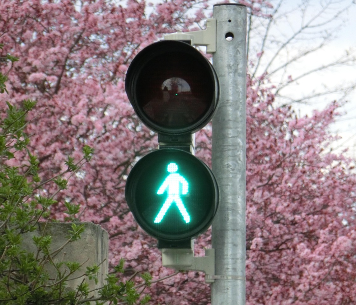 北京交通违章管理所:北京交通违章管理所电话 北京交通违章管理所:北京交通违章管理所电话