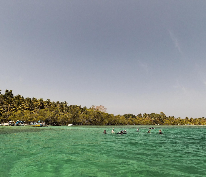 阿拉善是哪里?:阿拉善是什么地区 阿拉善是哪里?:阿拉善是什么地区