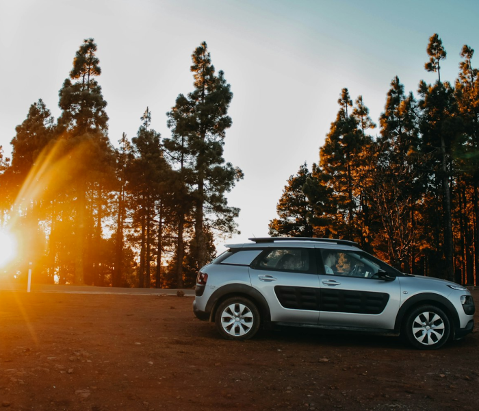 东风SUV汽车之家（东风汽车 汽车之家）