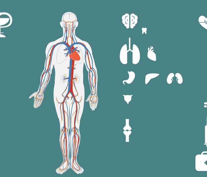 深圳紧急启动全员核酸检测/深圳紧急启动全员核酸检测工作