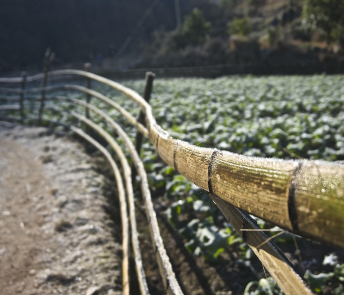【内蒙古旅游新闻播报/内蒙古旅游新闻播报今天】 【内蒙古旅游新闻播报/内蒙古旅游新闻播报今天】