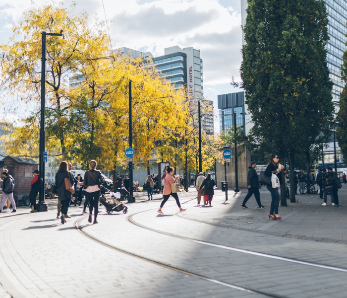 上海新增新冠本土/上海本地新增新冠 上海新增新冠本土/上海本地新增新冠