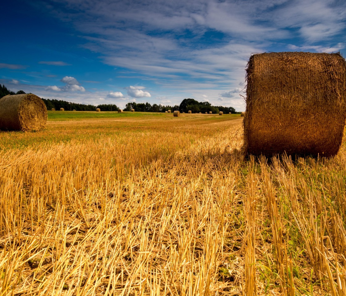 中国抗疫彰显的未来发展(中国抗疫彰显的人民性和未来发展) 中国抗疫彰显的未来发展(中国抗疫彰显的人民性和未来发展)