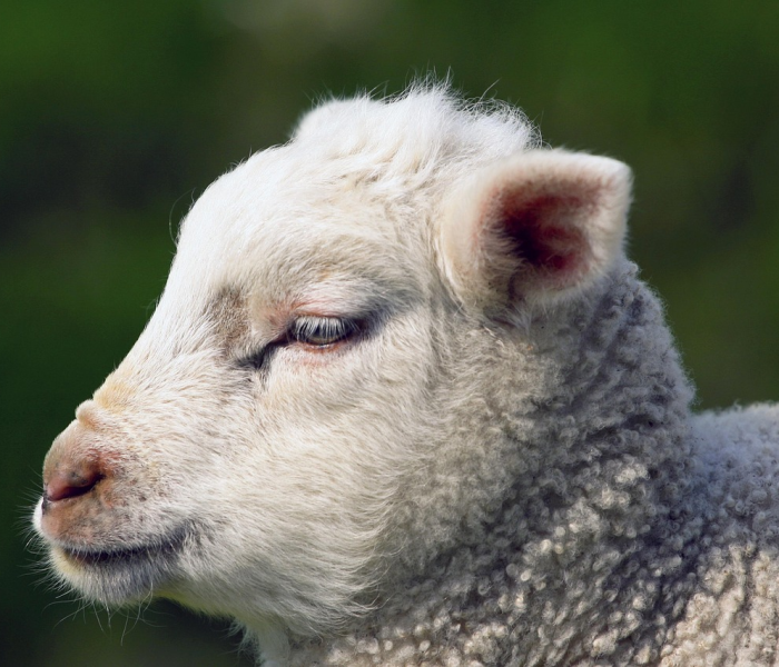 咯今天几号/今天几号几日啊 咯今天几号/今天几号几日啊