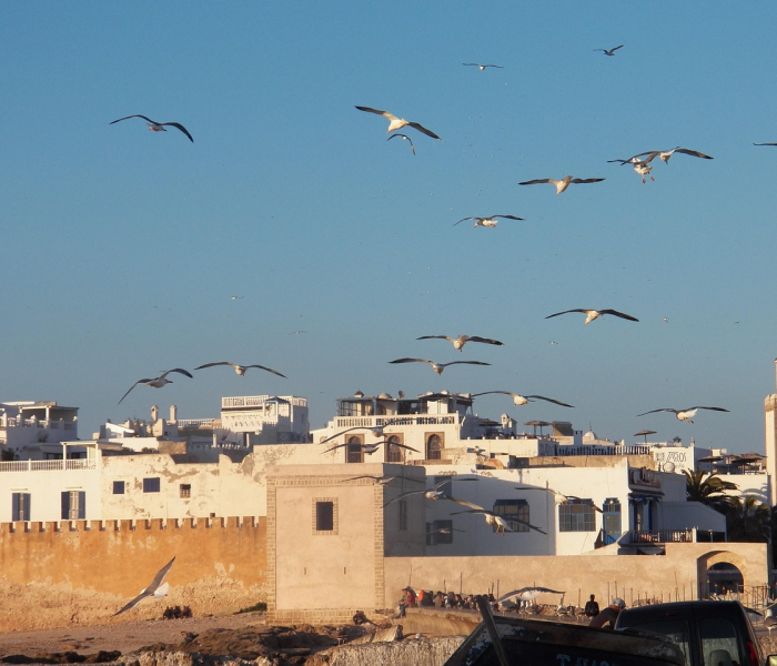 赤峰林西还叫啥名/赤峰林西有什么好玩的 赤峰林西还叫啥名/赤峰林西有什么好玩的