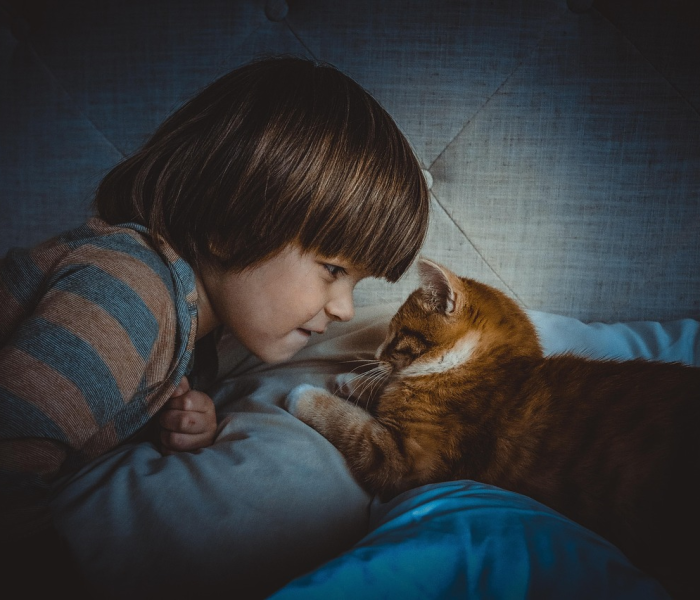 【新冠病毒治愈者不用担心二次感染,新冠治愈再次感染】 【新冠病毒治愈者不用担心二次感染,新冠治愈再次感染】