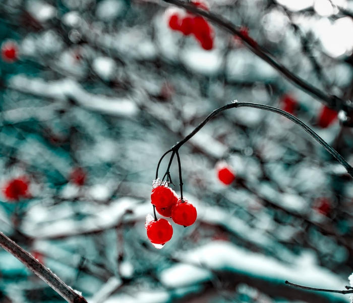 天才诗句(播放天才的诗歌) 天才诗句(播放天才的诗歌)