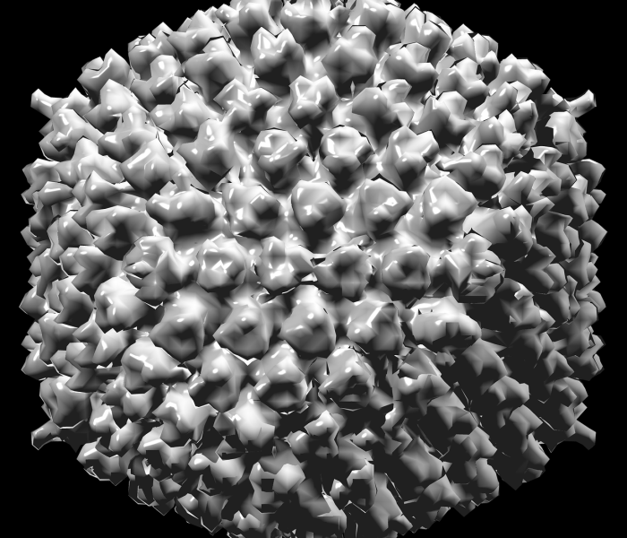 【新毒株传染性更强/新毒株与新病毒区别】 【新毒株传染性更强/新毒株与新病毒区别】