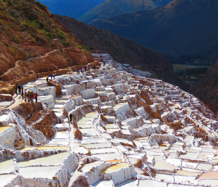 铁岭西丰有没有疫情/明天铁岭西丰