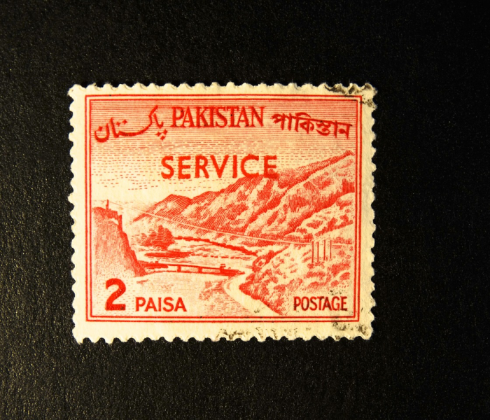 【全国新增新/全国新增新冠】