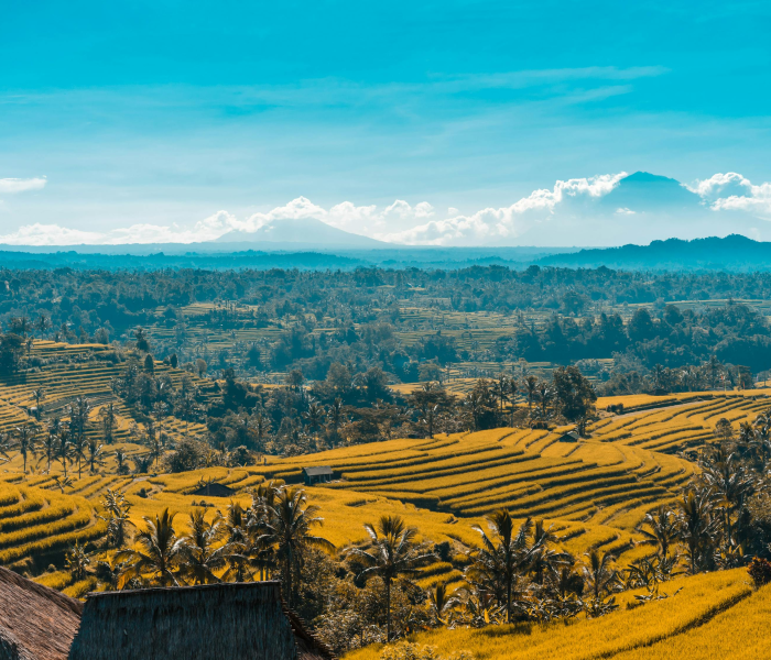 和田什么时候封城的/和田封城多少天 和田什么时候封城的/和田封城多少天