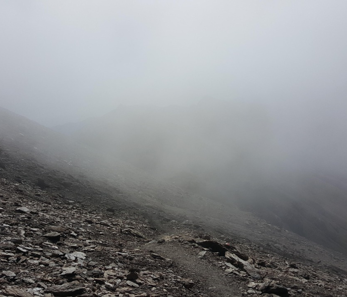 【造成武汉旱灾严重的主要原因/武汉干旱】 【造成武汉旱灾严重的主要原因/武汉干旱】