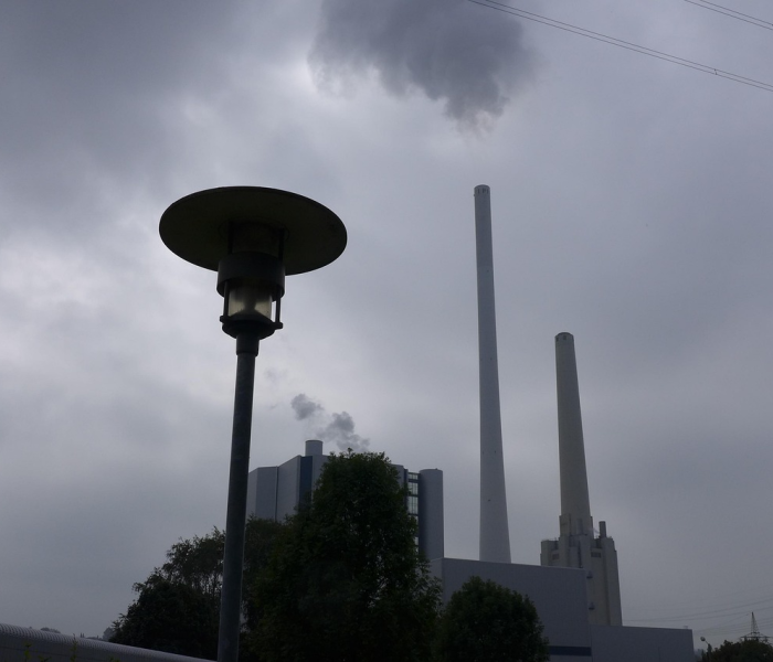 【新冠碳排放/2021碳排放】 【新冠碳排放/2021碳排放】