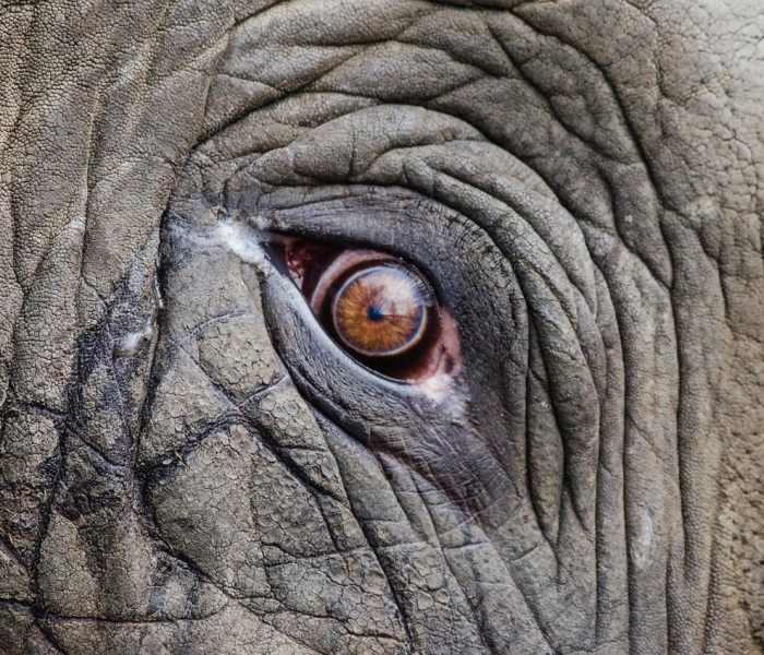 同安疫情爆发点问责/同安疫情乱象 同安疫情爆发点问责/同安疫情乱象