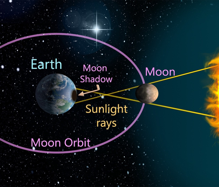 上海疫情一月(上海疫情一月最新数据) 上海疫情一月(上海疫情一月最新数据)