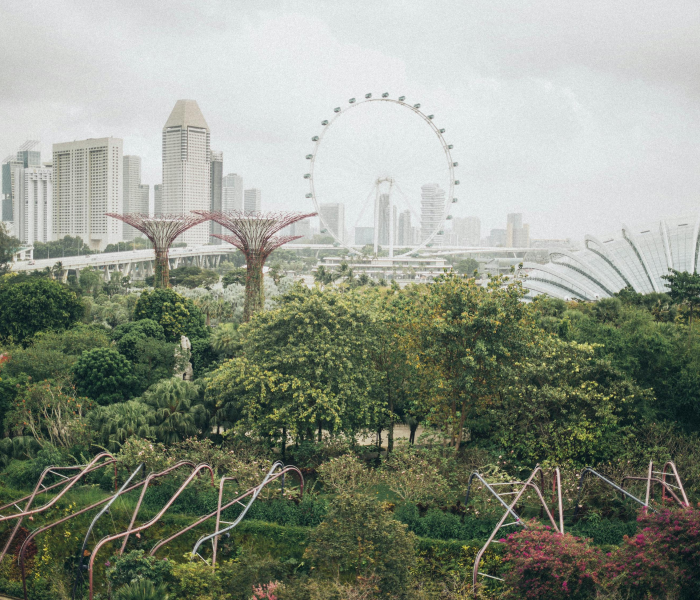 江阴周庄属于哪个省哪个市/江阴周庄在哪里 江阴周庄属于哪个省哪个市/江阴周庄在哪里