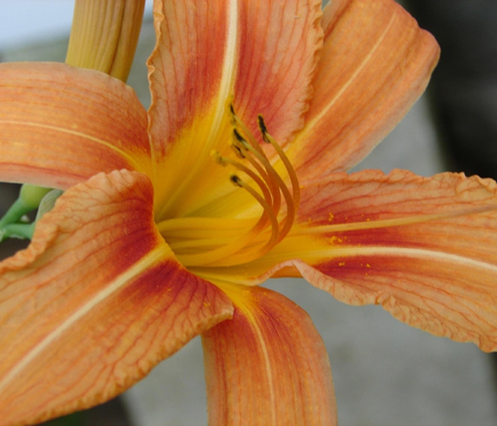 昆明隔离要14天要花多少钱/2021昆明隔离费用