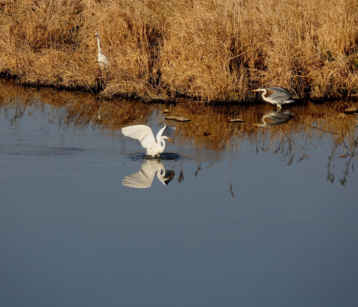 日照疫情最新新增一例/日照疫情最新动态 日照疫情最新新增一例/日照疫情最新动态