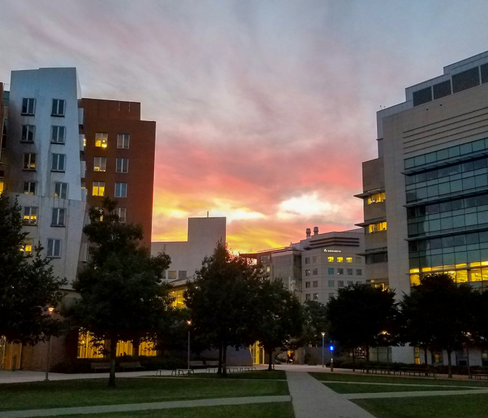 白城师范学院几号开学/白城师范今年开学时间 白城师范学院几号开学/白城师范今年开学时间